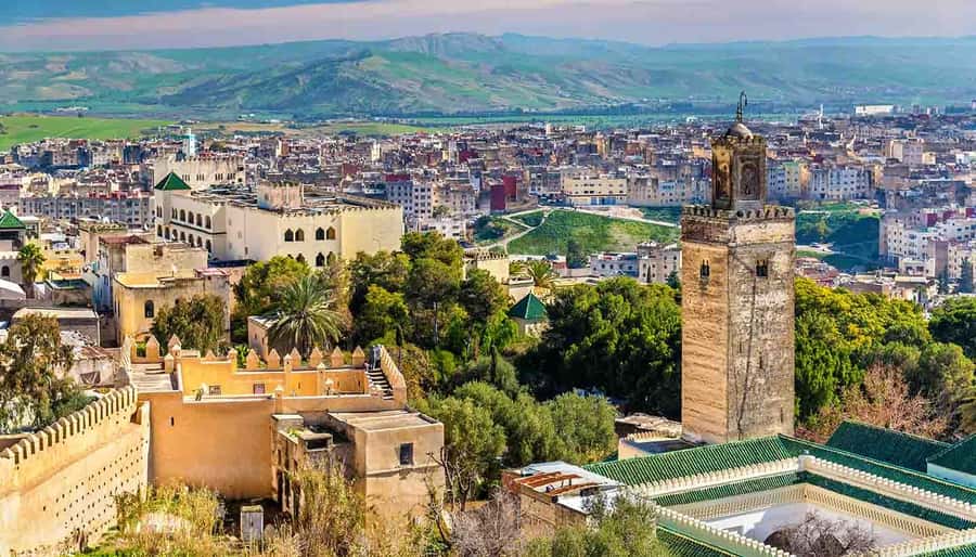 Fez: Half-Day Sightseeing Tour - Price, inclusions, and the real value
