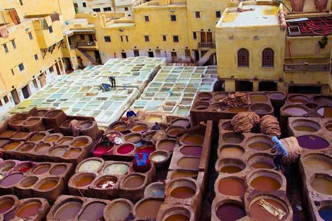 Fez Medina 4-Hour Guided Walking Tour - Chouara Tannery and the famous leather vats