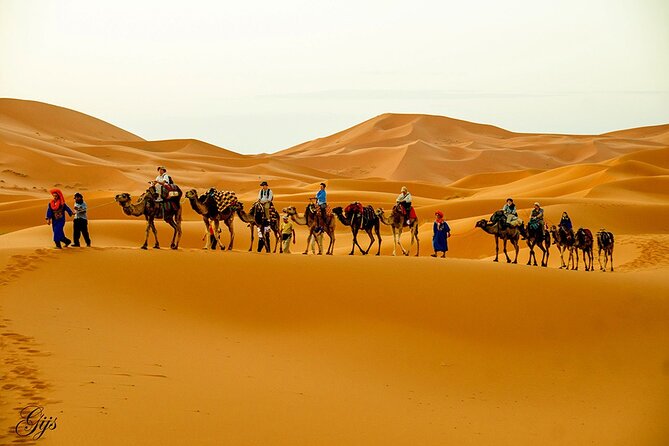 Fez to Marrakech via Merzouga Desert - 3 Day Desert Tour - Key points at a glance