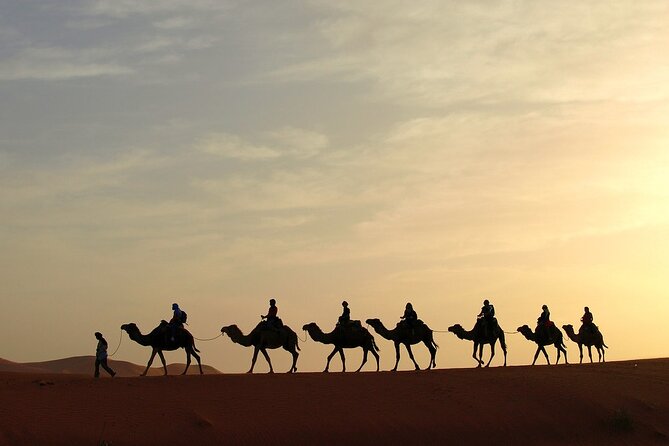 Fez to Marrakech via Merzouga Desert - 3 Day Desert Tour - Day 3: Kasbah country and the road to Marrakech
