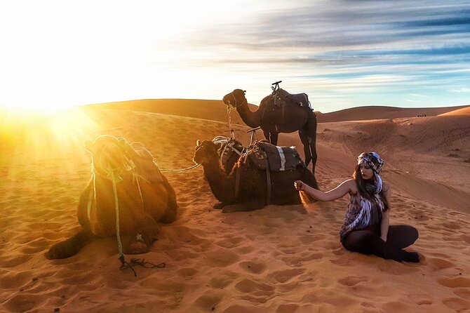 Fez to Marrakech via Merzouga Desert - 3 Day Desert Tour - The driver and group experience