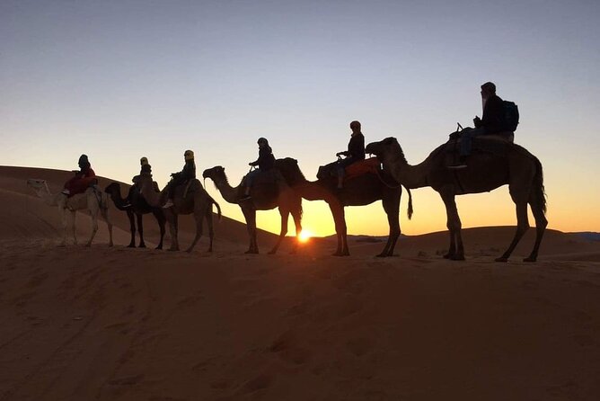 Fez to Marrakech via Merzouga Desert - 3 Day Desert Tour - Day 1: From Fez to the Sahara