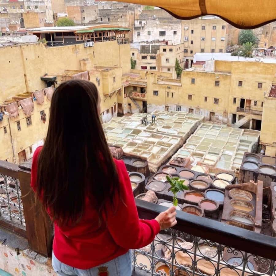 Friend tour guide to Fes Medina private walking tour - Key points to know before you book