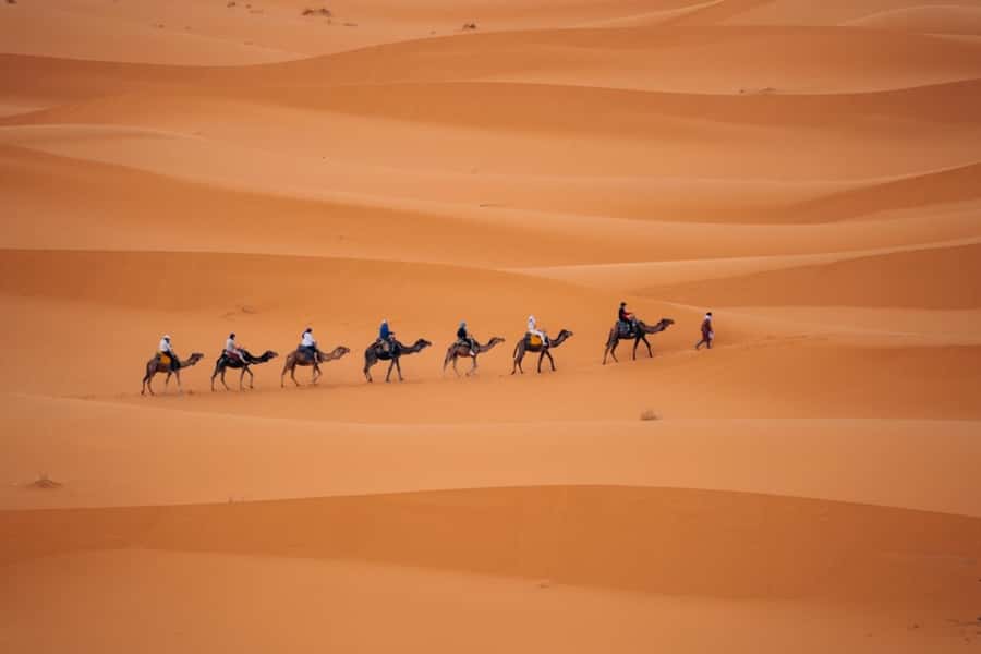 From Agadir: 3-Day Desert Tour to Marrakech - Guides, vehicles, and group size