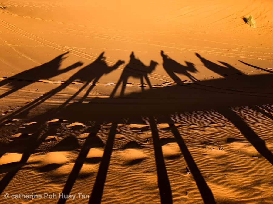 From Agadir: 4×4 Jeep Sahara Desert Tour with Lunch - Pottery, Markets, and the Old Town of Tiznit