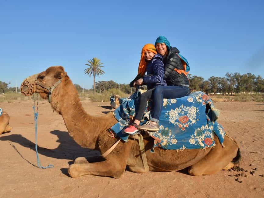 From Agadir: Camel Ride and Flamingo Trek - What this Agadir camel ride is really like