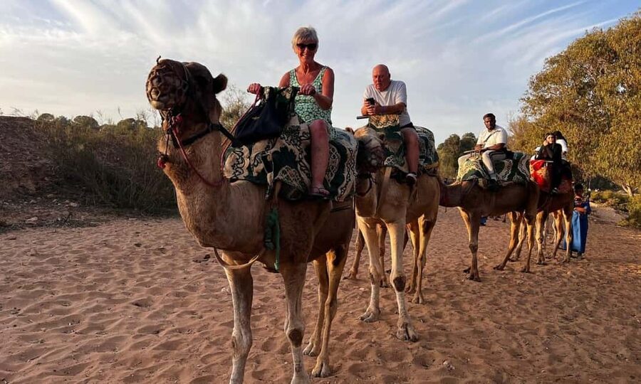 From Agadir: Camel Ride and Flamingo Trek - Hotel pickup keeps the outing easy