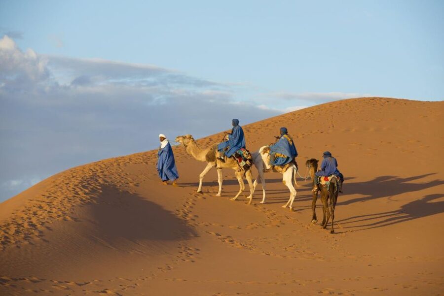 From Agadir: Camel Ride and Flamingo Trek - What the guide adds to the ride