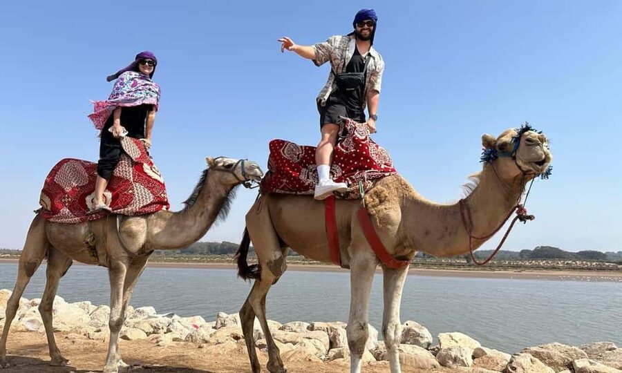 From Agadir: Camel Ride and Flamingo Trek - Mint tea and biscuits in the shade