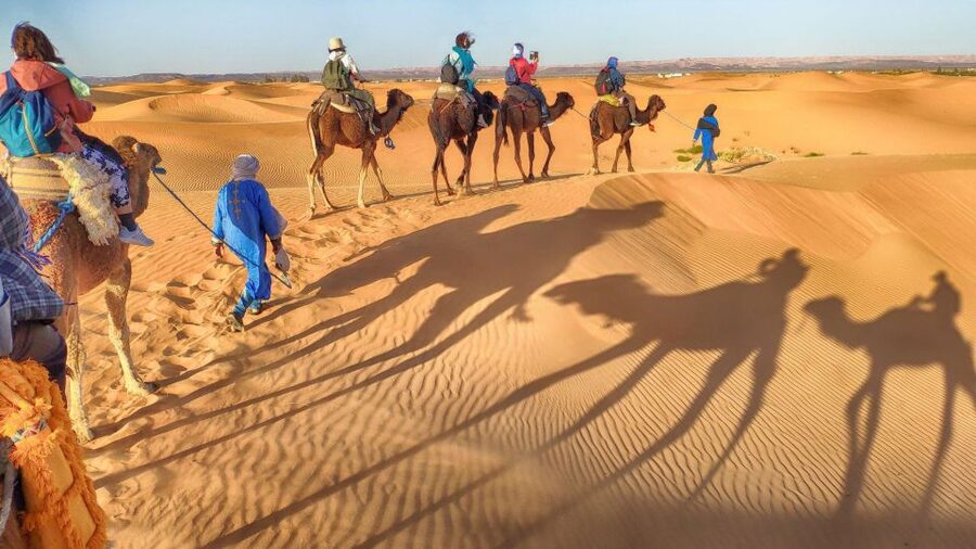 From Agadir: Camel Ride and Flamingo Trek - Comfort, clothing, and family suitability