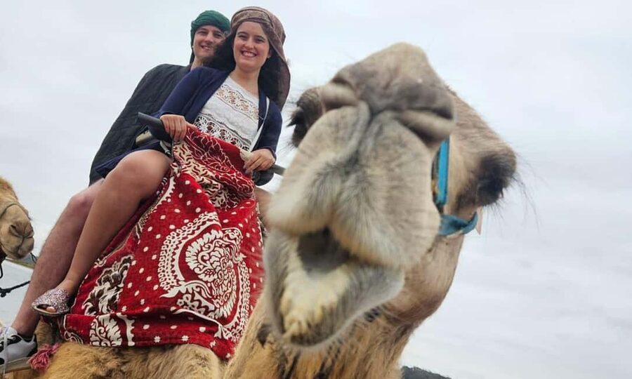 From Agadir: Camel Ride and Flamingo Trek - Meeting the camels and getting settled