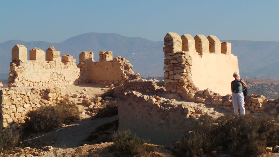 From Agadir: City Tour with Hotel or Port Transfers - Guides, languages, and the feel of the outing