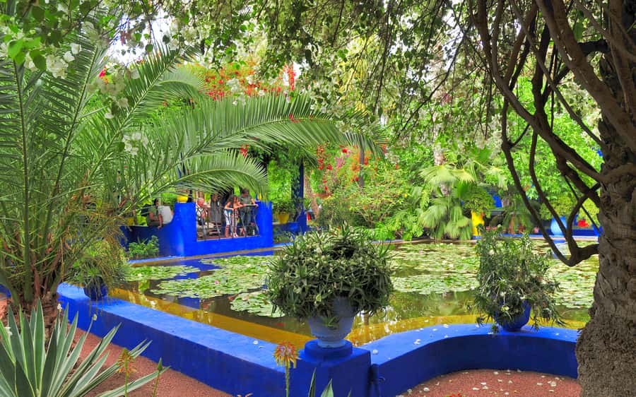From Agadir: Guided Day Trip to Marrakech - Key points at a glance