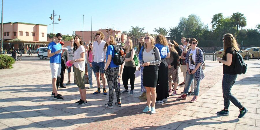 From Agadir: Guided Day Trip to Marrakech - Lunch, shopping, and extra costs