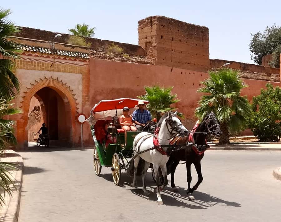 From Agadir: Guided Day Trip to Marrakech - Leaving Agadir at 7 AM