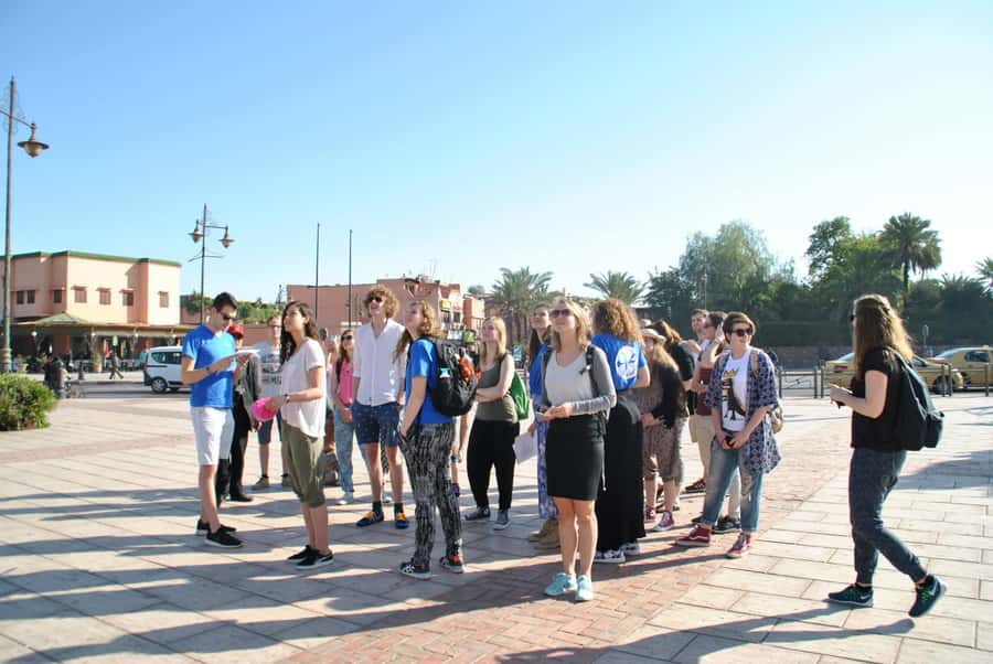 From Agadir: Guided Day Trip to Marrakech - Your free time in Marrakech