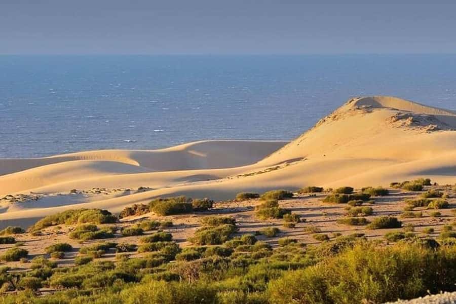From Agadir: Jeep Desert Safari with Lunch and Camel Ride - Key points to know before booking
