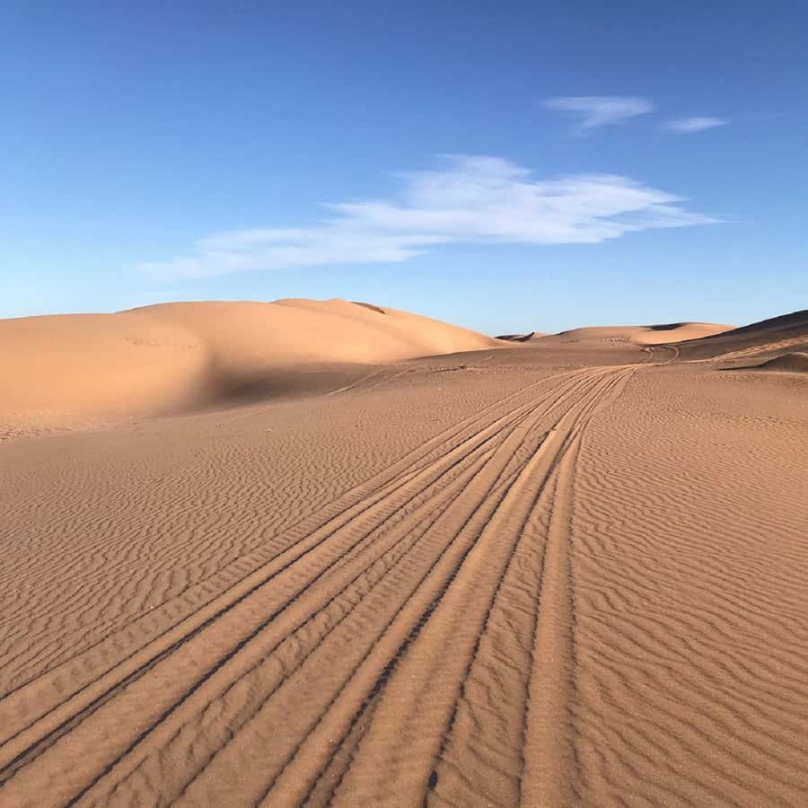 From Agadir: Jeep Desert Safari with Lunch and Camel Ride - The wild beach and fishermen’s caves