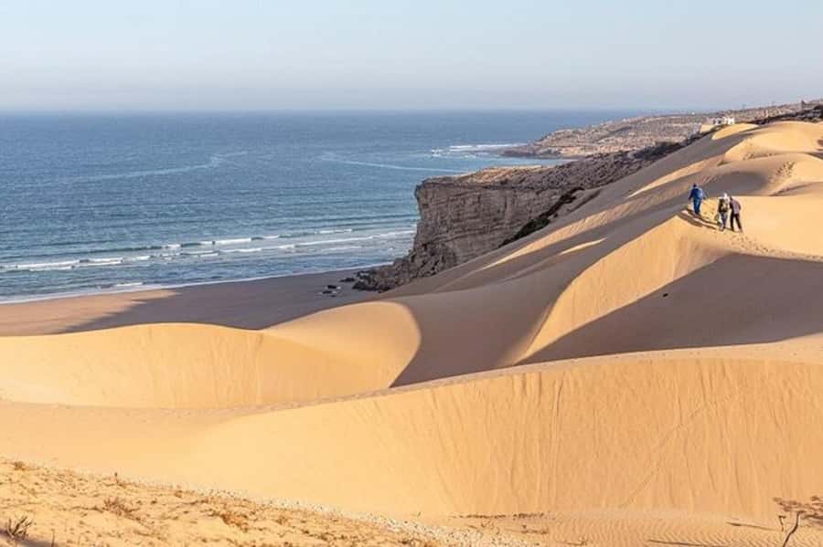 From Agadir: Jeep Desert Safari with Lunch and Camel Ride - Souss-Massa National Park and the Sous River