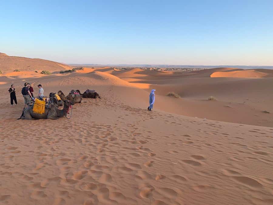 From Agadir: Jeep Desert Safari with Lunch and Camel Ride - Tiznit, the silver capital of the south