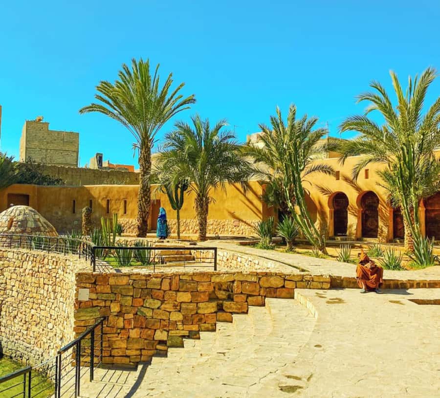 From Agadir: Legzira Beach & Tiznit Day Trip with Lunch - What the guide adds to the day