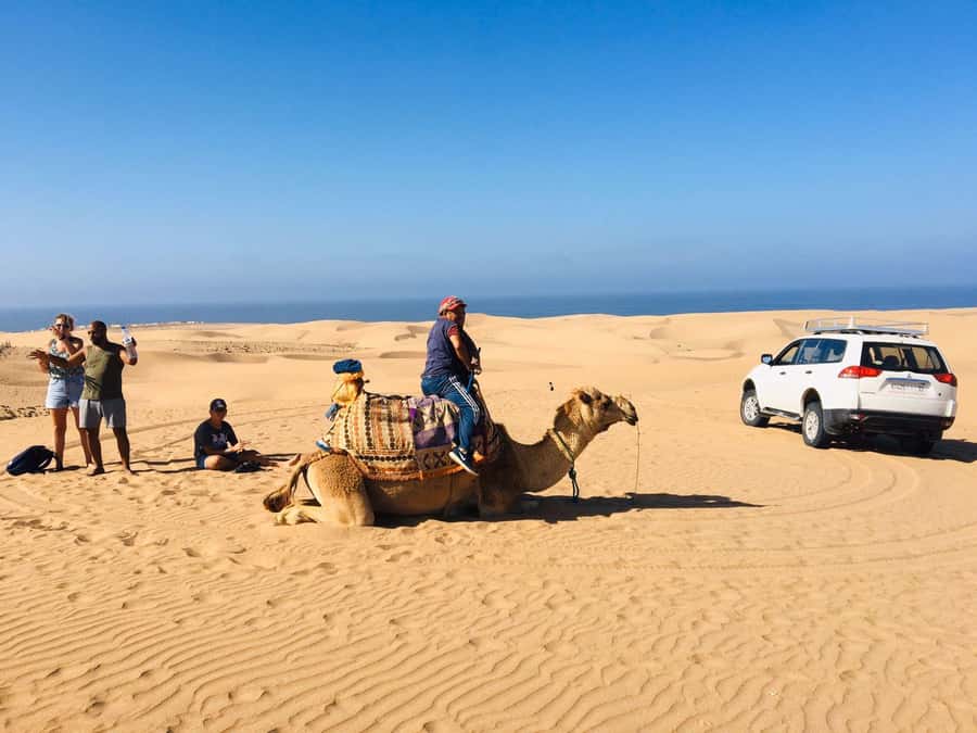 From Agadir: Mini Sahara Day Tour with Lunch - Key points to know