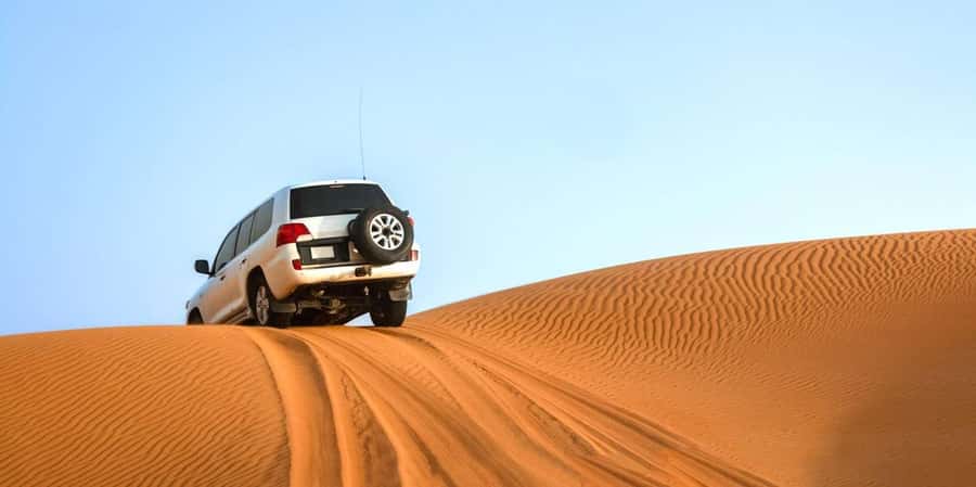 From Agadir: Mini Sahara Day Tour with Lunch - The Souss Massa River and its birdlife