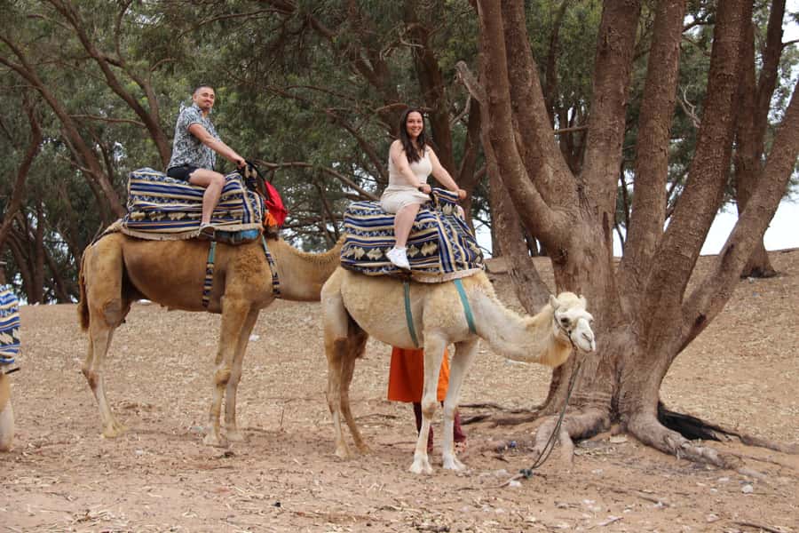 From Agadir or Taghazout: Camel Ride Berber Tour Experience - Key points to know before you book