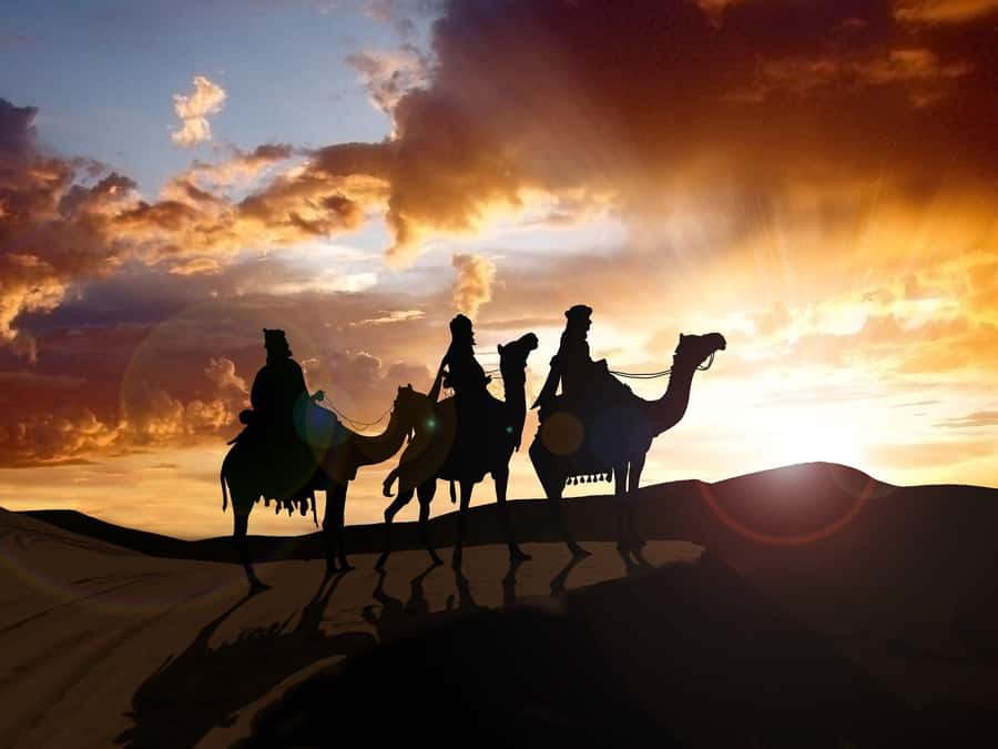 From Agadir or Taghazout: Camel Ride Berber Tour Experience - Mounting the camels and finding your rhythm