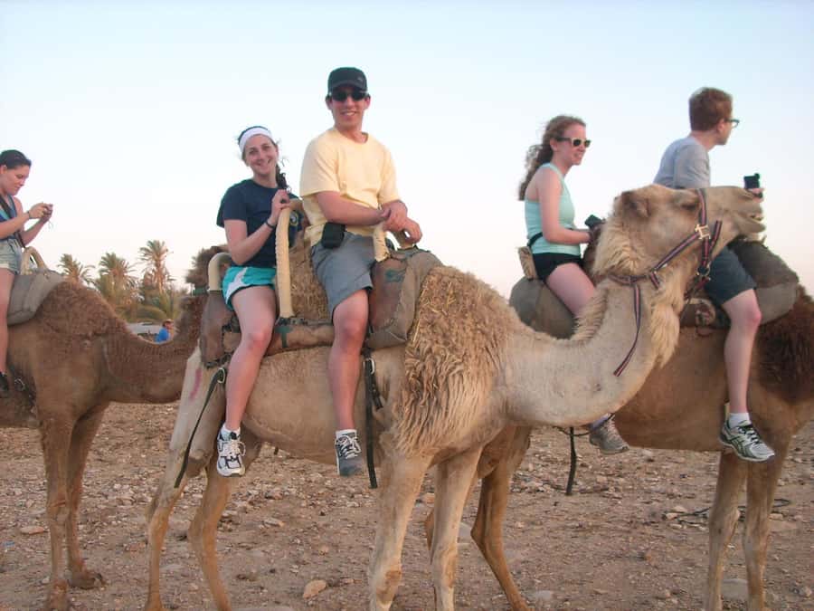 From Agadir or Taghazout: Camel Ride Berber Tour Experience - Guides, photos, and the human touch