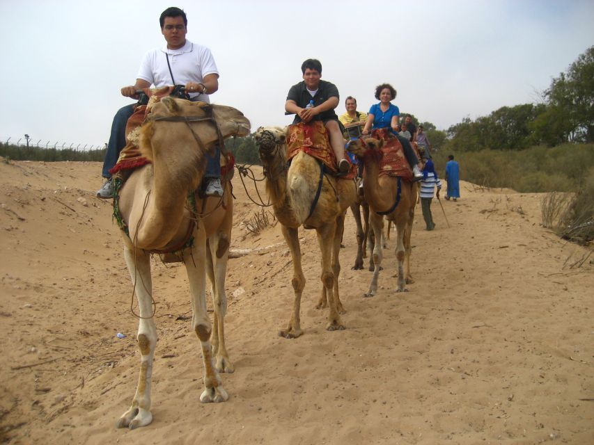 From Agadir or Taghazout: Camel Ride Berber Tour Experience - Is $27 good value?