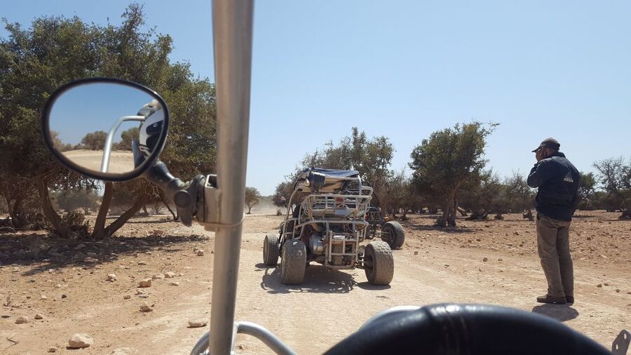 From Agadir or Taghazout: Desert Dunes Buggy Tour - Sand dunes, open tracks, and the argan forest
