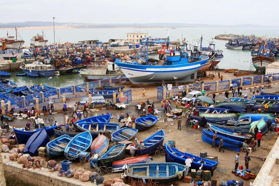 From Agadir or Taghazout : Essaouira Day Trip - Key points at a glance