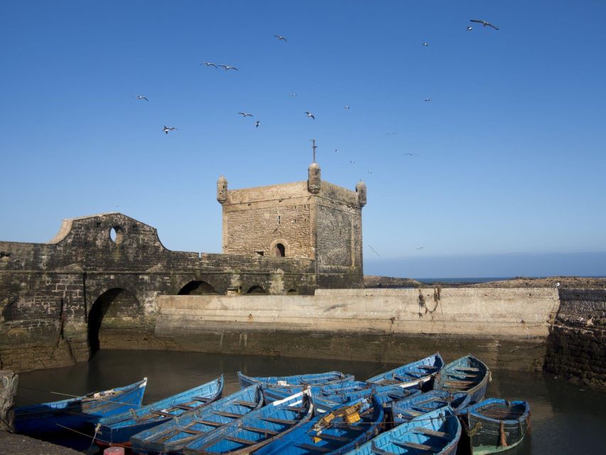 From Agadir or Taghazout: Essaouira Day Trip with Transfer - Who should book this Essaouira day trip
