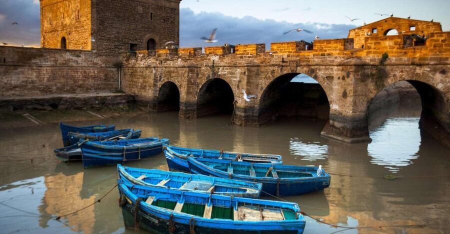From Agadir or Taghazout: Essaouira Day Trip with Transfer - Why Essaouira makes a good day away from Agadir