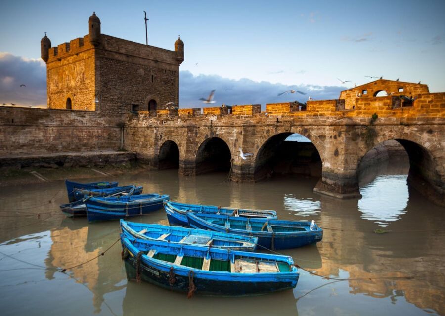 From Agadir or Taghazout: Essaouira Day Trip with Transfer - Free time for lunch, lanes, or the beach