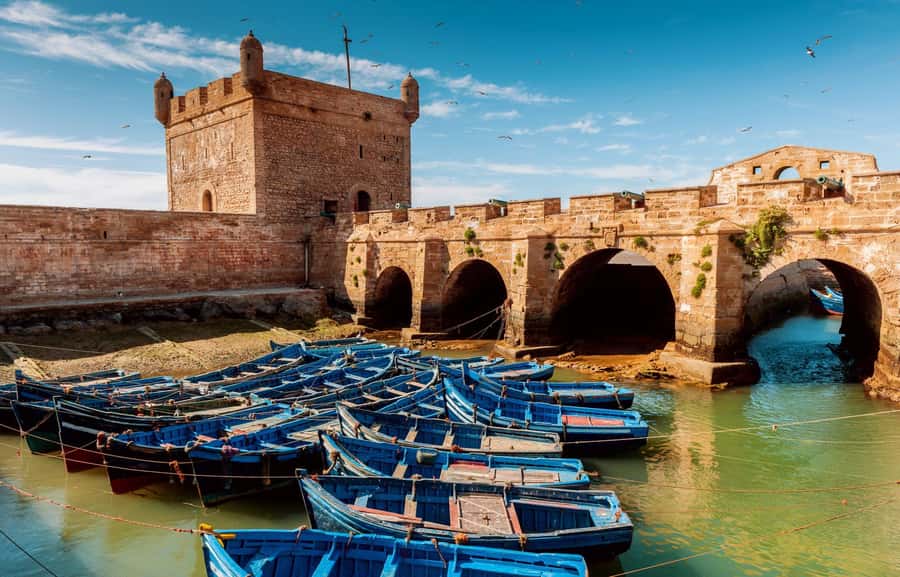 From Agadir or Taghazout : Essaouira Day Trip - The argan goats roadside stop