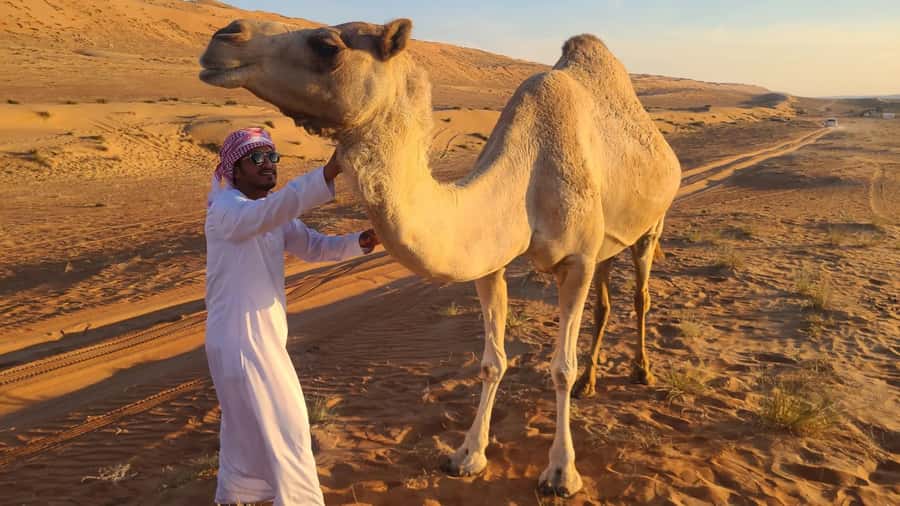 From Agadir: Sahara Desert Day Trip and Camel Ride - Key points to know before booking