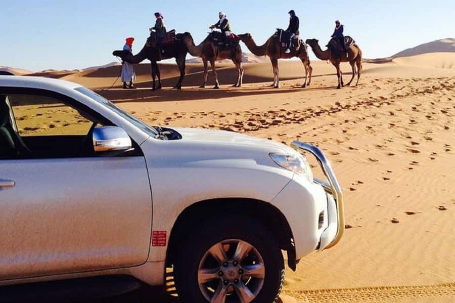 From Agadir: Souss-Massa National Park Tour with Lunch - Key points to know before you book
