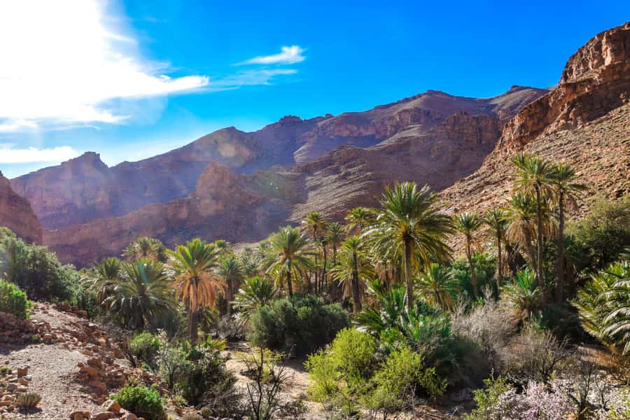 From Agadir: Tafraoute the Anti Atlas Day trip With Lunch - Key points before you book