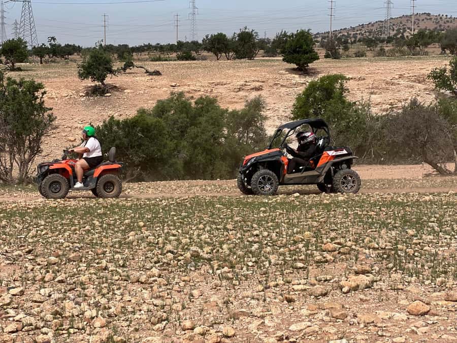 From Agadir/Taghazout: Buggy Safari Adventure & Moroccan Tea - Goats in argan trees, the unusual photo stop