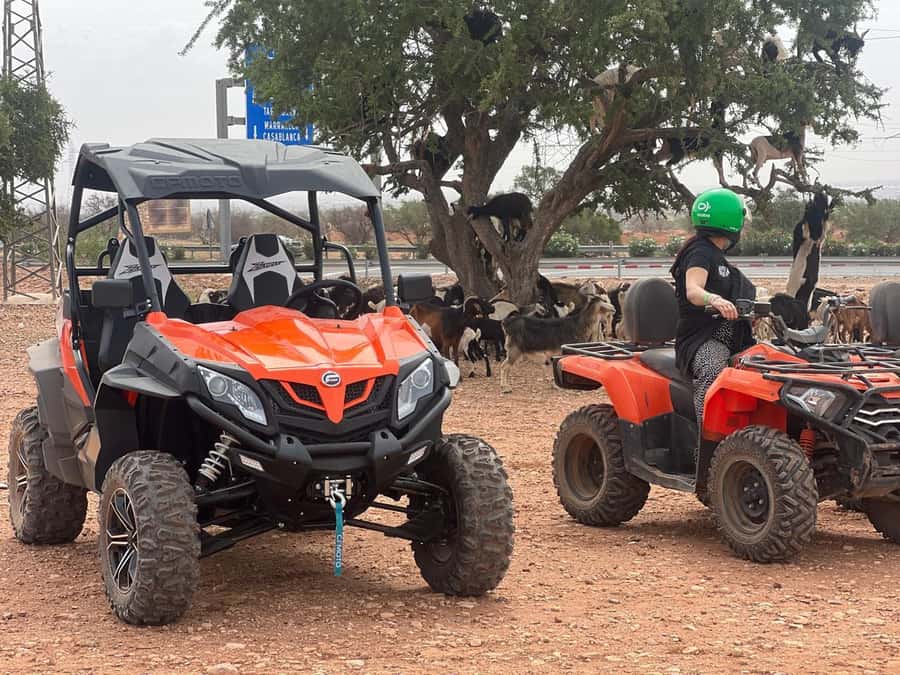 From Agadir/Taghazout: Buggy Safari Adventure & Moroccan Tea - What the small group changes