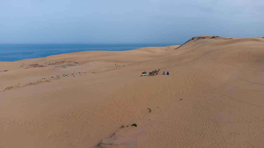 From Agadir/Taghazout: Sahara Sand Dunes with Transfer - Key points to know before you book