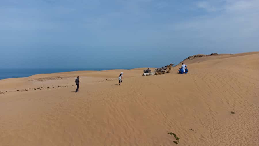 From Agadir/Taghazout: Sahara Sand Dunes with Transfer - A mini desert trip from Agadir