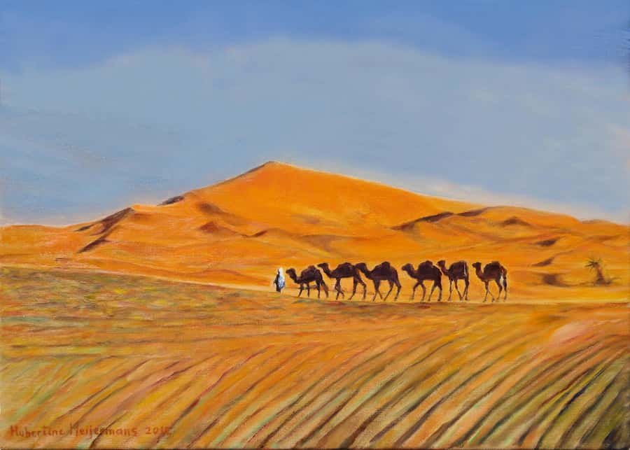 From Agadir/Taghazout: Sahara Sand Dunes with Transfer - Reaching the Timalin dunes