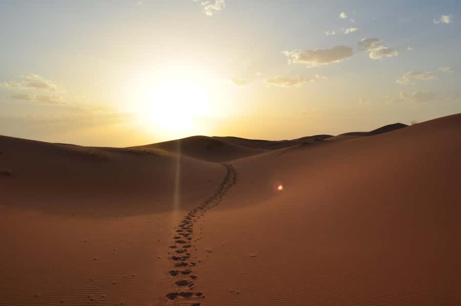 From Agadir/Taghazout: Sahara Sand Dunes with Transfer - What the guide adds to the day