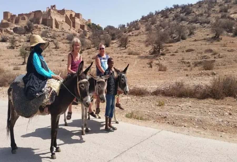 From Agadir: Taroudant & Tiout guided excursion - How much walking should you expect?