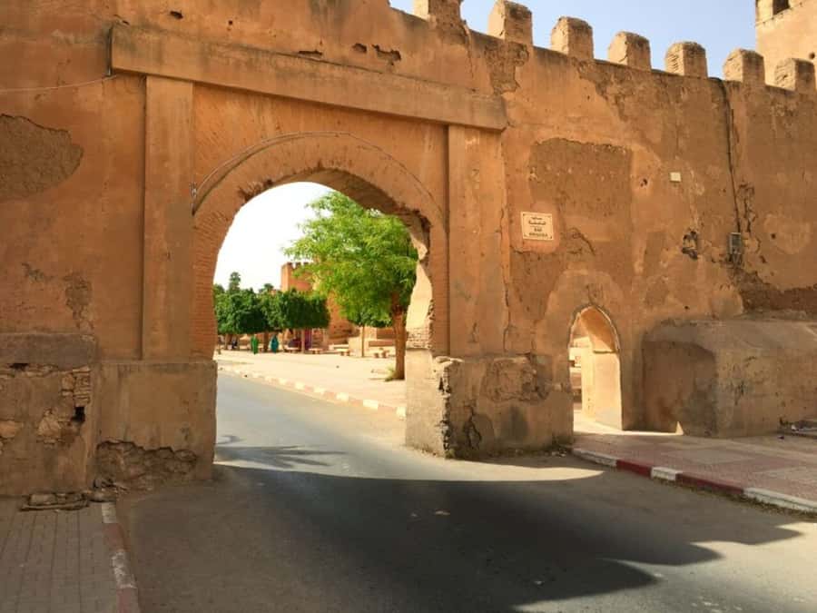 From Agadir: Taroudant & Tiout guided excursion - The roadside goat stop
