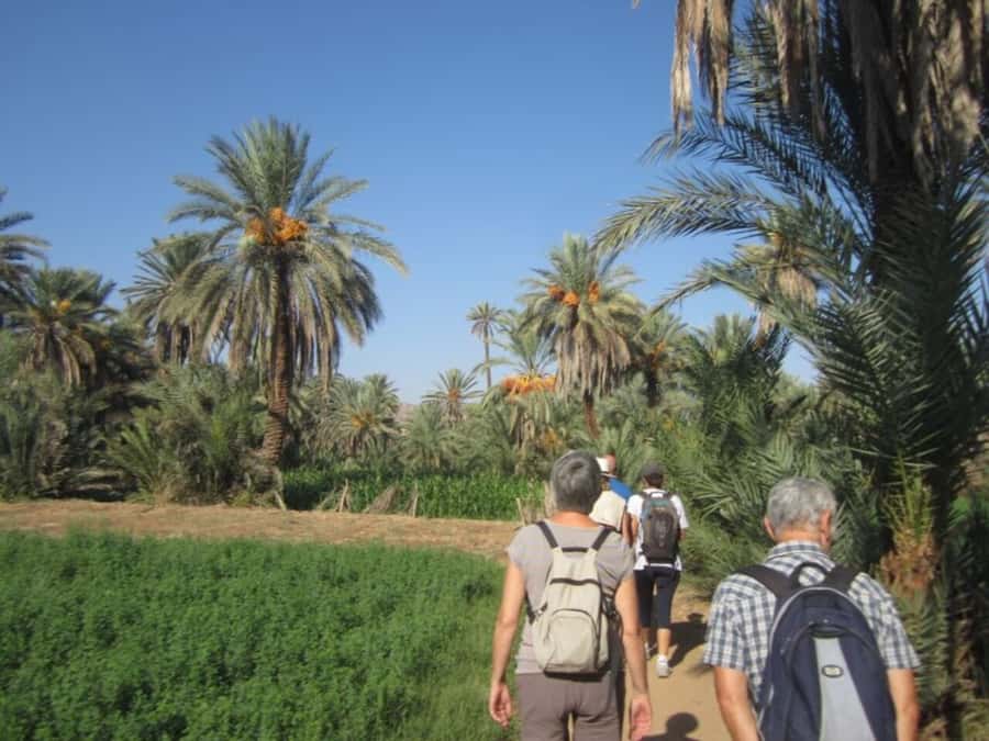 From Agadir: Taroudant & Tiout guided excursion - Tiout Oasis and the Berber village