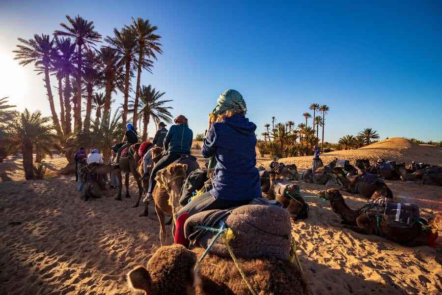 From Casablanca: Day Trip to Marrakech with Camel Ride - The Mellah and Bahia Palace